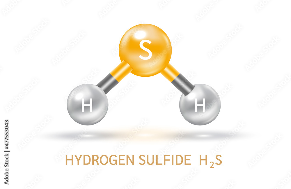 Hydrogen Sulfide H2S molecule models grey and chemical formulas scientific. Ecology and biochemistry concept. Air pollution emissions contamination with industrial pipes. Isolated spheres 3D Vector. Hydrogen Sulfide H2S molecule models grey and chemical formulas scientific. Ecology and biochemistry concept. Air pollution emissions contamination with industrial pipes. Isolated spheres 3D Vector.