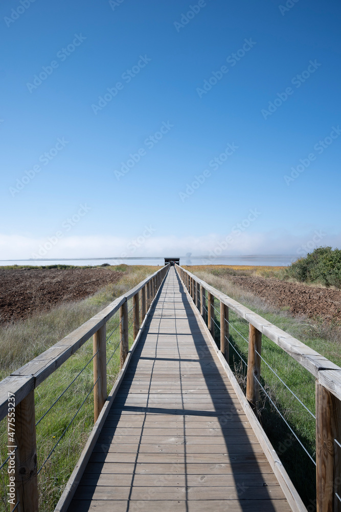 boardwalk in the dunes