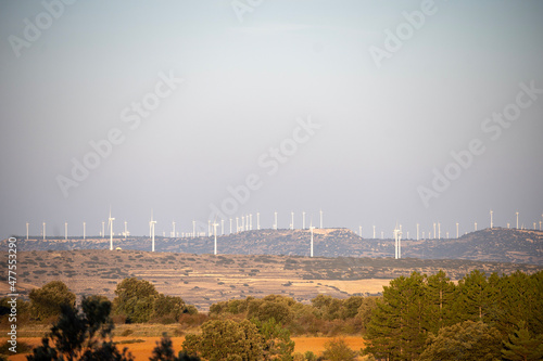 sunset over the city