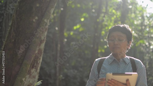 Asian female biologist looking around in tropical forest and working with digital tablet under morning sunlight. Woman naturalist survey the wildness area for research during summer in Thailand.