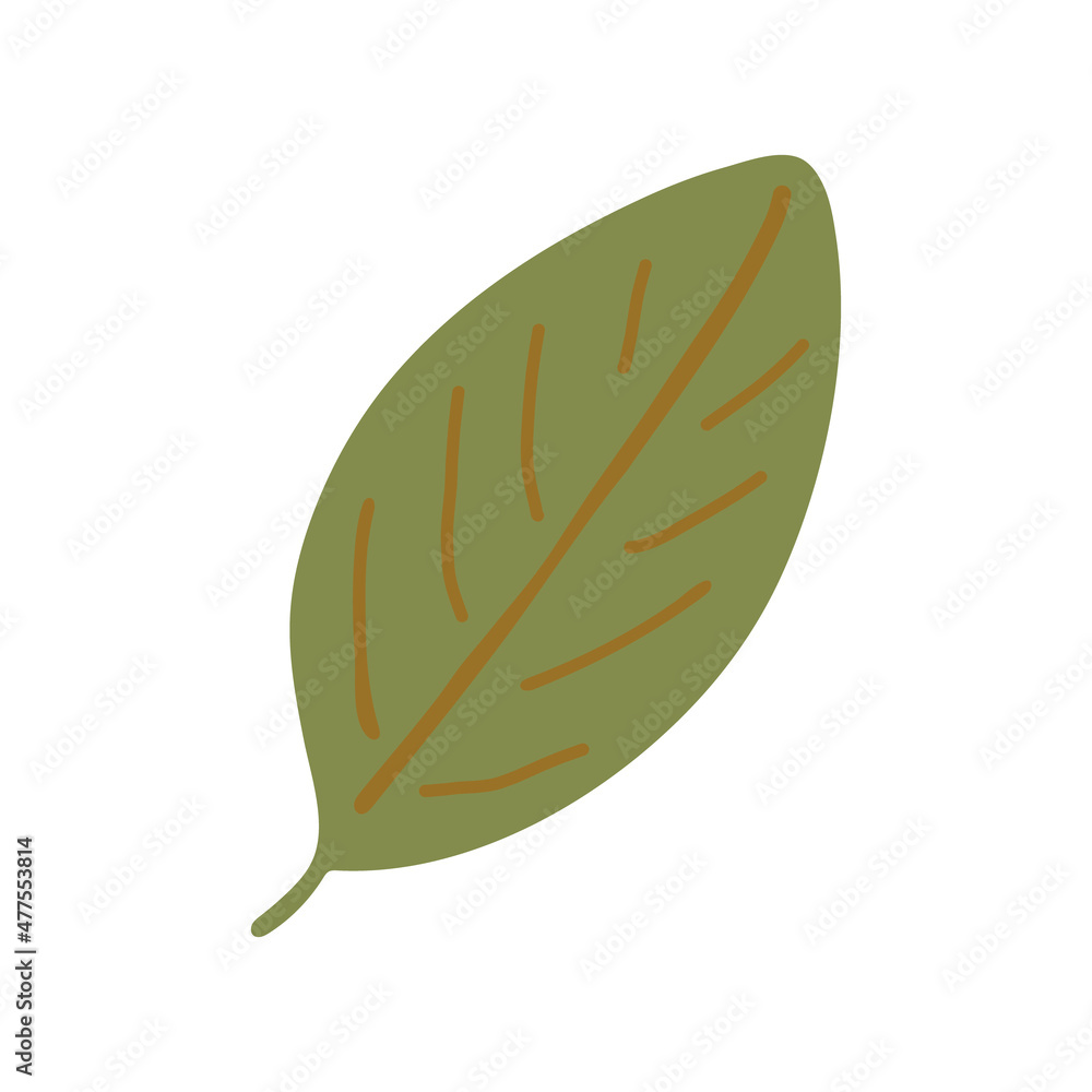 leaf hand drawn. vector, minimalism. isolated, icon, sticker. leaf hand drawn. vector, minimalism. isolated, icon, sticker.