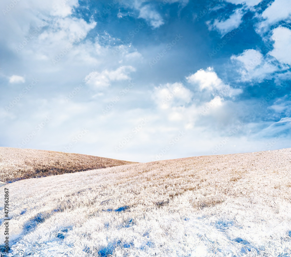frozen fields, winter landscape
