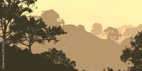 Trees in the fog. Deep forest haze. Hills covered by plants and foliage. Shrubs and bushes. Majestic view. Deep forest.