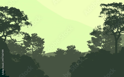 Trees in the fog. Deep forest haze. Hills covered by plants and foliage. Shrubs and bushes. Majestic view. Deep forest.