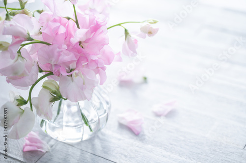 ピンクのスイートピー　春の花の背景 photo