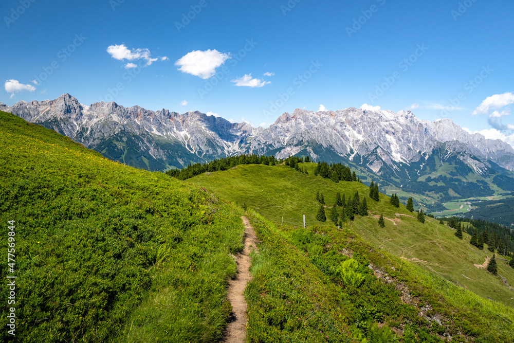 Hiking trail in an idyllic summer landscape in the Alps, Salzburg, Austria