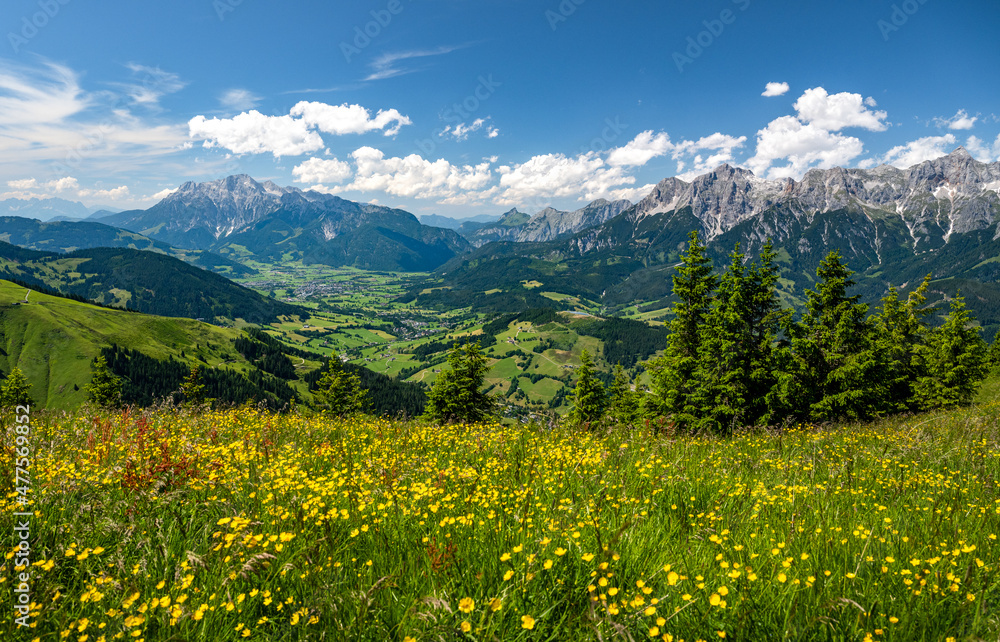 Summer alpine landscape with alpine pastures, forest and mountain range, Hochkoenig, Maria Alm, Dienten, Salzburg, Austria