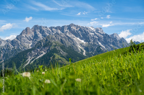 Green summer meadow in front of the famous Hochkoenig mountain range, Salzburg, Austria © auergraphics