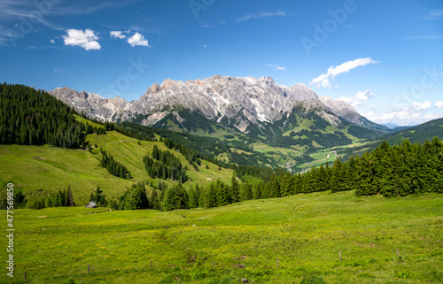 Summer alpine meadow in the alps, Hochkoenig massif, Maria Alm, Dienten, Salzburg, Austria