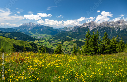Summer alpine landscape with alpine pastures, forest and mountain range, Hochkoenig, Maria Alm, Dienten, Salzburg, Austria