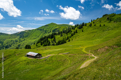 Summer alpine landscape with alpine pastures, Maria Alm, Dienten, Salzburg, Austria photo