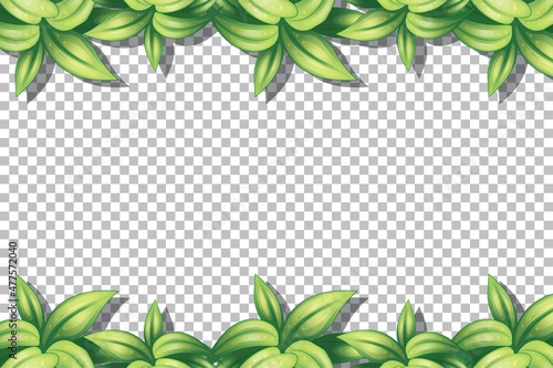 Nature plants frame transparent background
