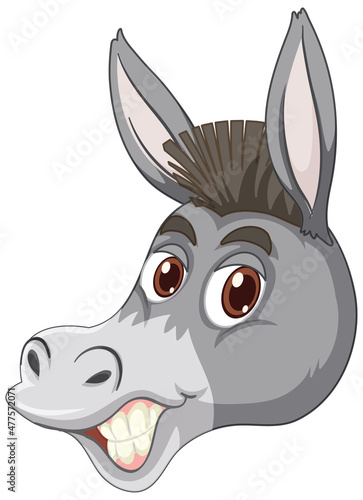Donkey with face expression on white background