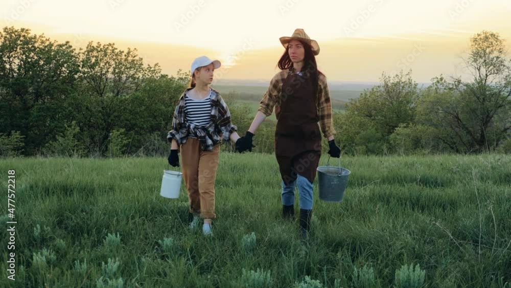 Cows farm concept. Young mother farmer and daughter pour fresh milk. A family of farmers working on the farm at sunset. Family business of raising organic cows. Collection of fresh natural milk. Cows farm concept. Young mother farmer and daughter pour fresh milk. A family of farmers working on the farm at sunset. Family business of raising organic cows. Collection of fresh natural milk.