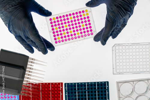 Enzyme-linked immunosorbent assay (ELISA) 96 well micro plate, Immunology or serology testing method in science medical laboratory