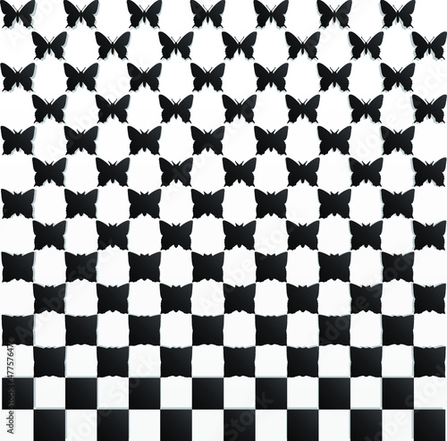 black white butterfly background/ metamorphosis / vector illustration