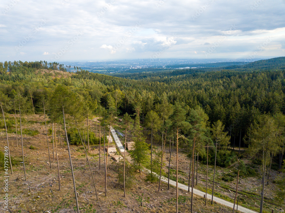 Waldsterben im Taunus zwischen Sandplacken und Saalburg durch Klimawandel, Trockenheit und Borkenkäfer von oben mit Drohne, Hessen Deutschland