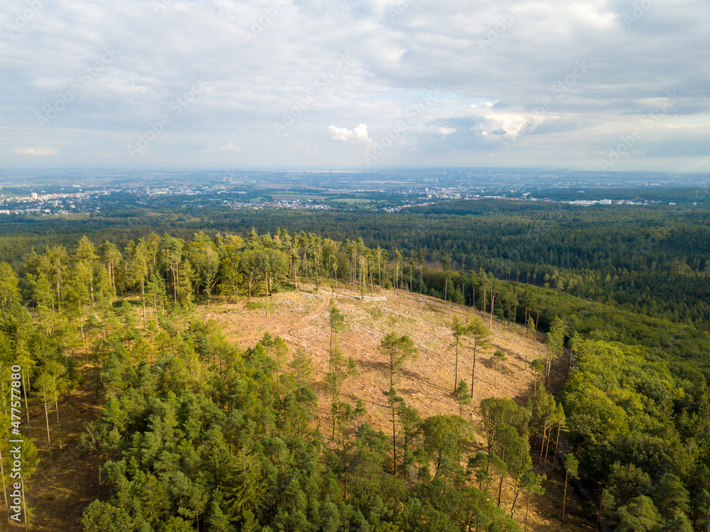 Waldsterben im Taunus zwischen Sandplacken und Saalburg durch Klimawandel, Trockenheit und Borkenkäfer von oben mit Drohne, Hessen Deutschland