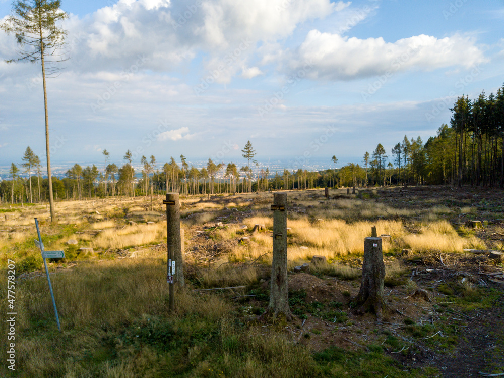 Waldsterben im Taunus zwischen Sandplacken und Saalburg durch Klimawandel, Trockenheit und Borkenkäfer von oben mit Drohne, Hessen Deutschland Waldsterben im Taunus zwischen Sandplacken und Saalburg durch Klimawandel, Trockenheit und Borkenkäfer von oben mit Drohne, Hessen Deutschland