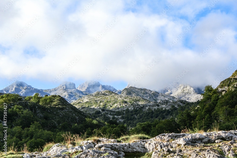 Fototapeta premium Landscape in the mountains