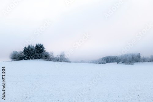 Frosty and snowy landscape © Conny Sjostrom