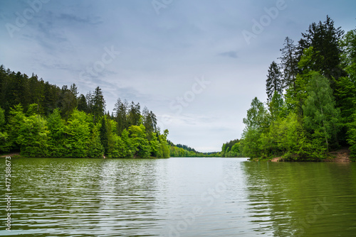Germany, Lake water surface of Herrenbachstausee in green forest and nature landscape near adelberg goeppingen photo