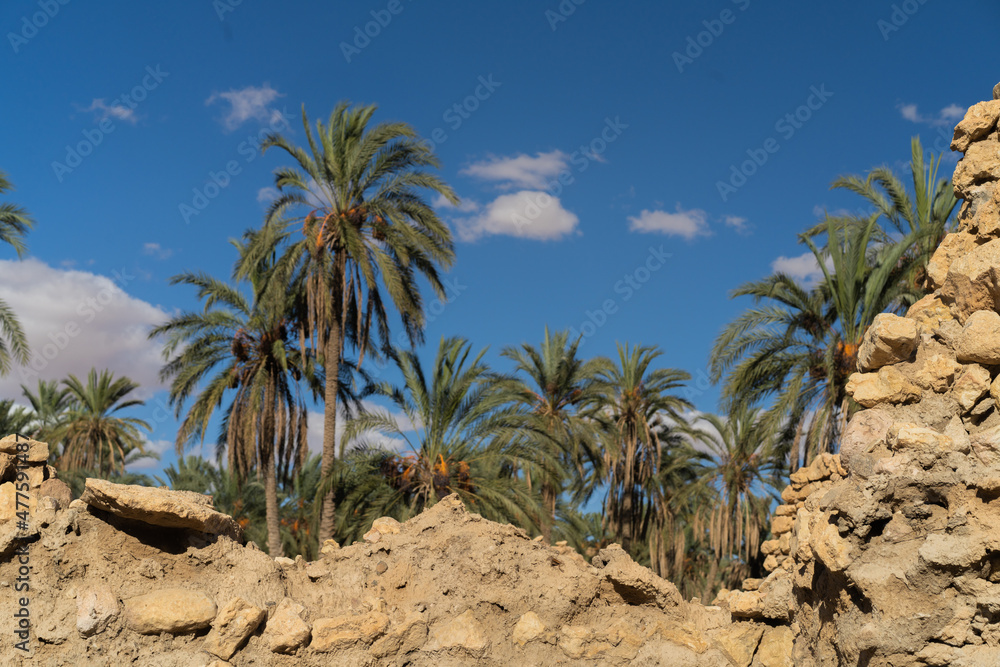 View of Mides Canyon -in western Tunisia close to Sahara - Tunisia View of Mides Canyon -in western Tunisia close to Sahara - Tunisia