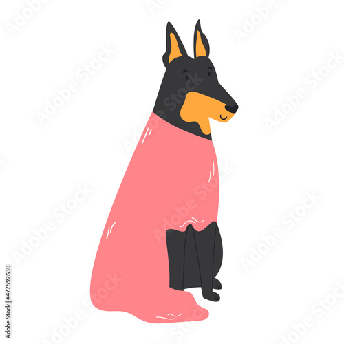 Vector illustration of a funny doberman in a trench coat.