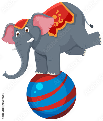 Elephant performance balancing on ball