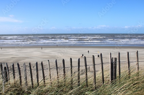 beach and fence