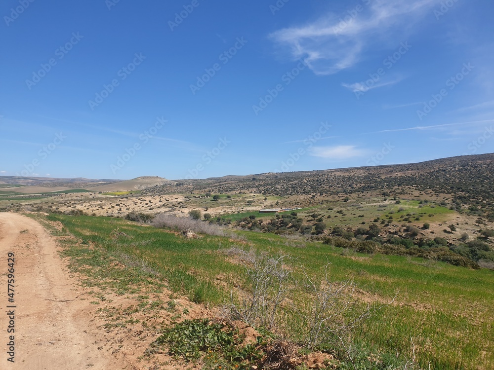 Beautiful landscapes in the spring, the city of Tiaret, Algeria Beautiful landscapes in the spring, the city of Tiaret, Algeria