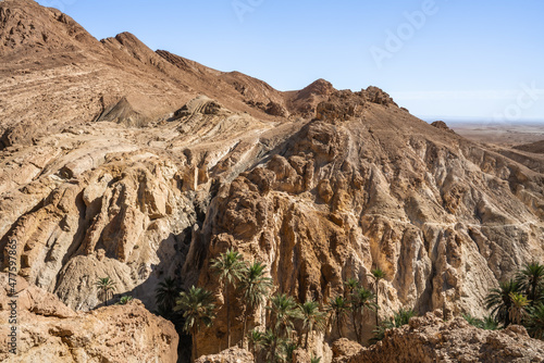 View of Chbika -  mountain oasis in western Tunisia -Tozeur governorate - Tunisia  photo