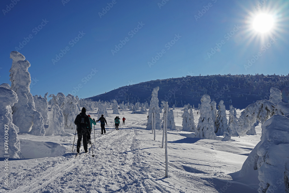 Cross-country skiing on Giant Mountains plateau, popular outdoor activity during sunny weather and blue sky, Krkonose, Czech Republic