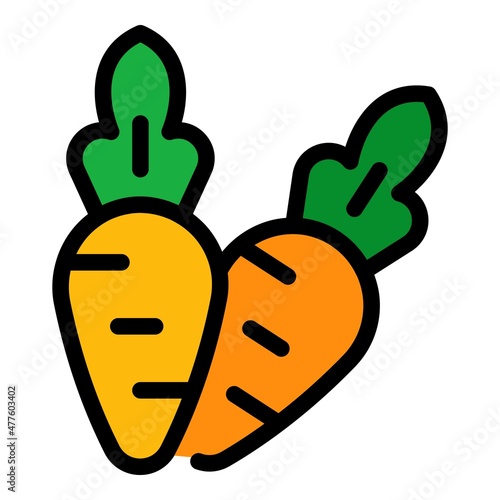Sport nutrition carrots icon. Outline sport nutrition carrots vector icon color flat isolated