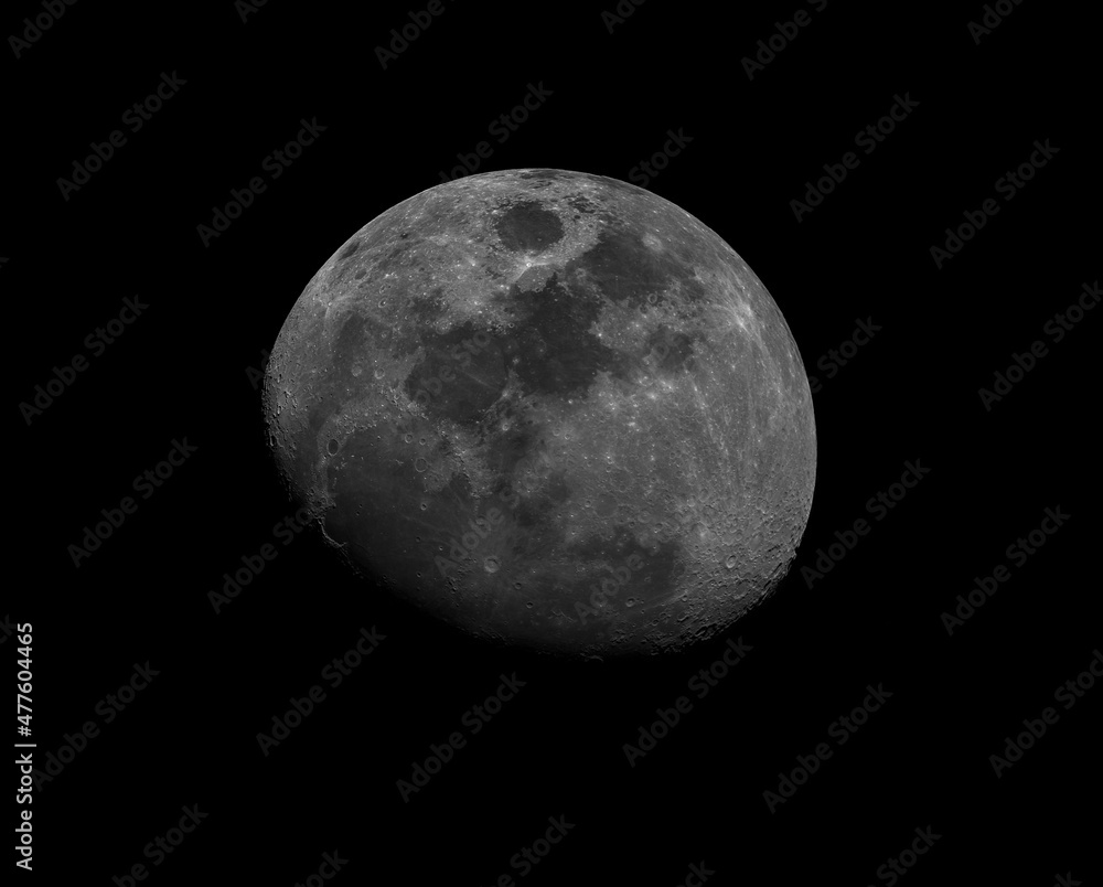 moon moon