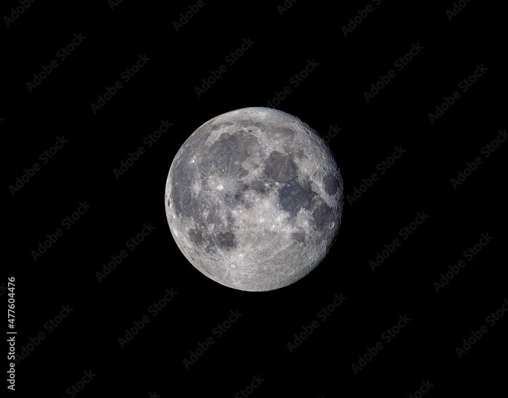 Moon Moon