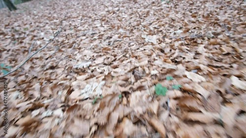POV view of footsteps on the leaves in the woods