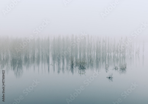 China Beijing Summer Palace misty lake and tree view