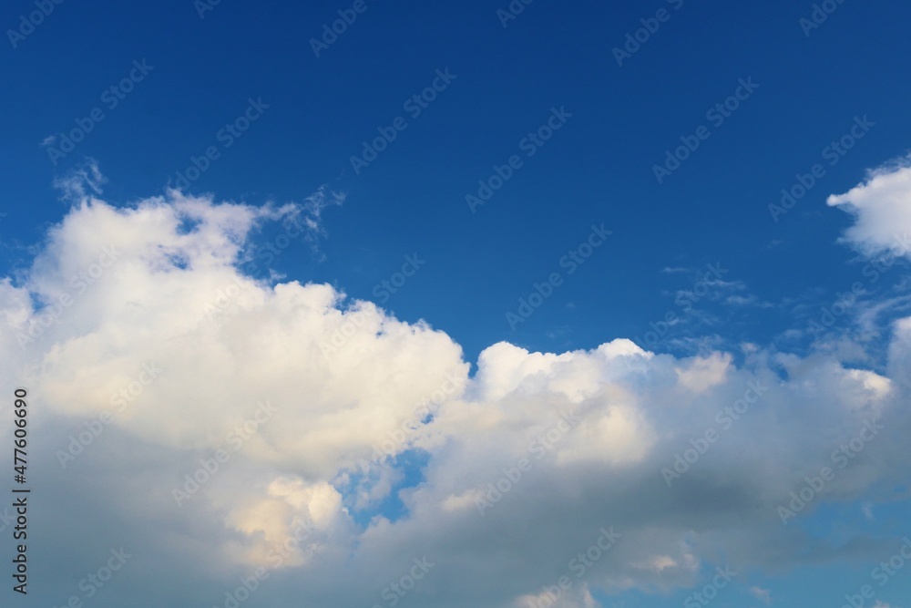 Fototapeta premium 公園から見る冬の空 白いふわふわ雲 風景