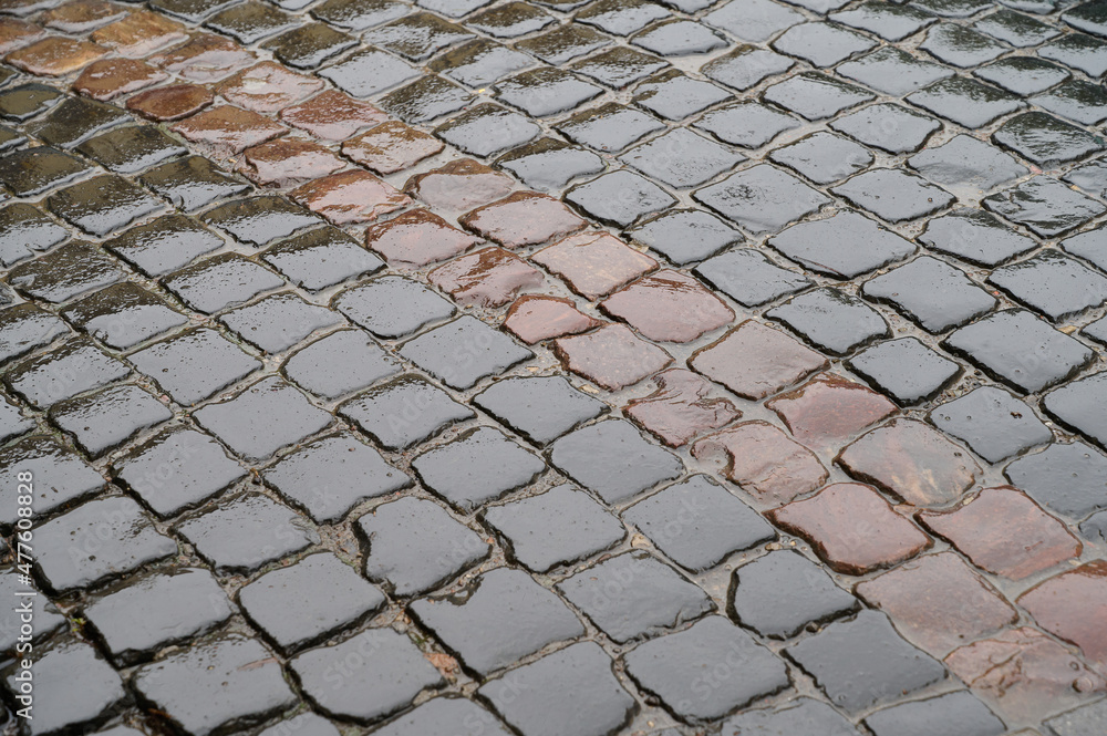 Wet paving stones in dark background after rain