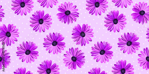 Gerbera flower vector seamless pattern © Olha