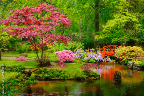 Japanese garden, Park Clingendael, The Hague, Netherlands