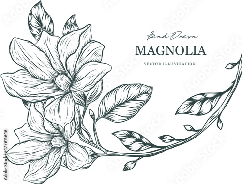 magnolia hand drawn flowers