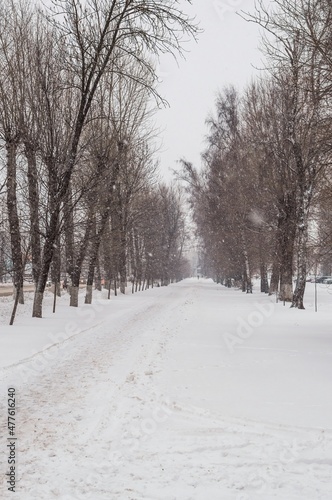 Winter snow-covered alley during snowfall © irisff