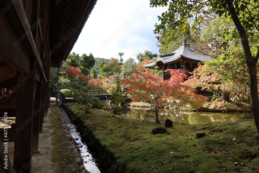 Benten-do Hall and the pond and autumn leaves in the precincts of Seiryo-ji Temple at Saga in Kyoto City in Japan 日本の京都市嵯峨にある清涼寺境内の弁天堂と池と紅葉