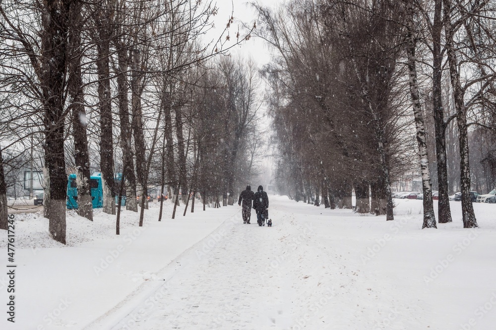 Winter snow-covered alley. Passers-by walk small dog Winter snow-covered alley. Passers-by walk small dog
