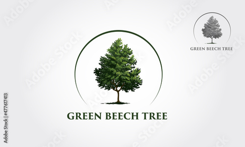 Green Beech Tree Logo Template. This beautiful tree is a symbol of life, beauty, growth, strength, and good health.
