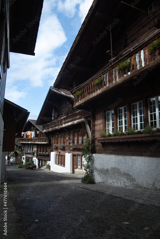 Brienz with Brieznersee Switzerland in the spring Brienz with Brieznersee Switzerland in the spring