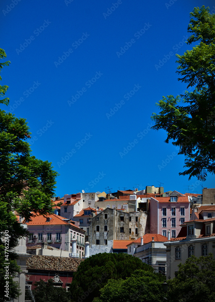 Hill with buildings in Funchal, Madeira