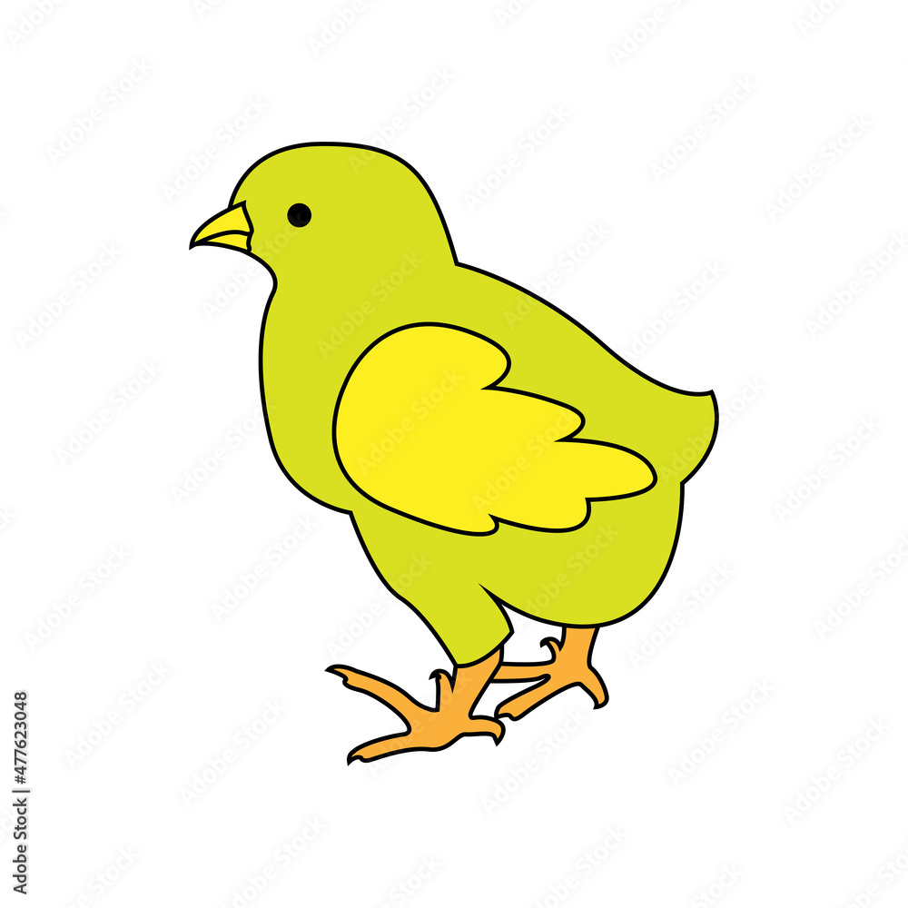 chicks, vector poultry farm Illustration on a white background chicks, vector poultry farm Illustration on a white background